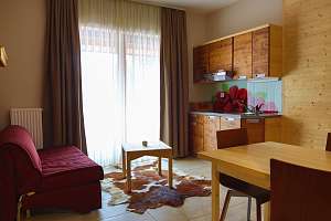 Slovenija Hotel Natura Rogla Dnevni prostor