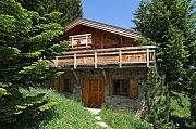 Ski Chalet Les Alpages Les 2 Alpes Francija MTB poletje